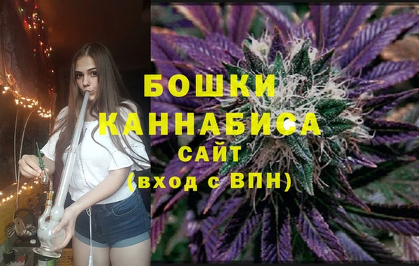 дживик Баксан