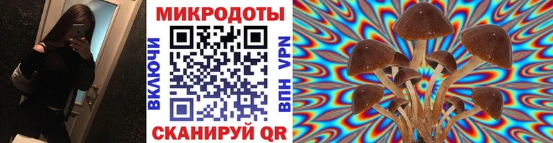 Галлюциногенные грибы прущие грибы  сколько стоит  Болотное 